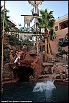 Misc_156_DSC0467.jpg