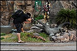 Misc_159_DSC0489.jpg