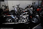 Misc_227_DSC0788.jpg