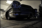 Misc_259_DSC0836.jpg