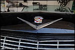 Misc_285_DSC0916.jpg