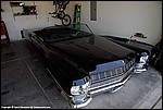 Misc_286_DSC0917.jpg