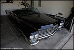 Misc_287_DSC0919.jpg