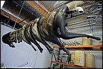 Misc_320_DSC1249.jpg