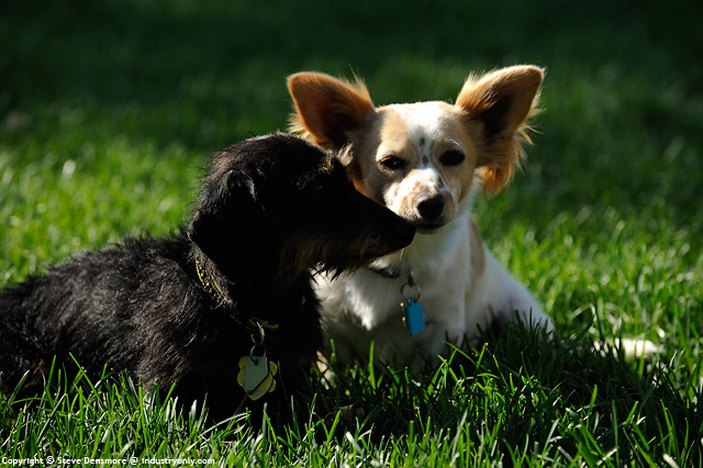 Misc_10_DSC3570.jpg