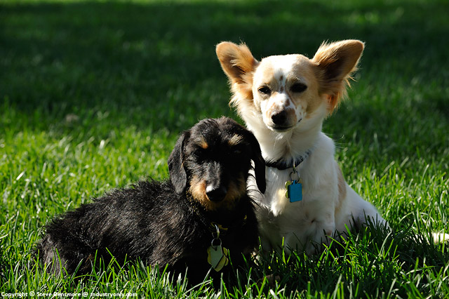 Misc_12_DSC3574.jpg