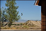 Foster_17_DSC3589.jpg