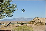 Foster_18_DSC3598.jpg