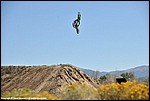 Foster_27_DSC3663.jpg