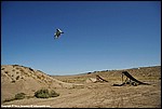 Miller_18_DSC3467.jpg