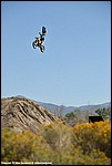 Miller_25_DSC3653.jpg