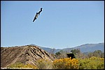 Miller_27_DSC3660.jpg