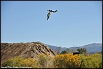 Miller_28_DSC3662.jpg