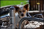Misc_07_DSC3555.jpg