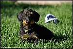 Misc_08_DSC3562.jpg