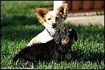 Misc_09_DSC3568.jpg