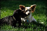 Misc_10_DSC3570.jpg