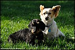 Misc_11_DSC3573.jpg