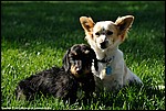 Misc_12_DSC3574.jpg