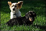 Misc_13_DSC3576.jpg