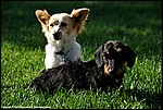 Misc_14_DSC3577.jpg
