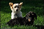 Misc_16_DSC3579.jpg