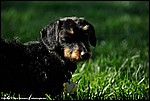 Misc_17_DSC3580.jpg