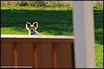 Misc_18_DSC3584.jpg
