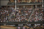 Adams_02_DSC2764.jpg