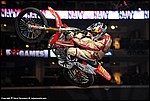 Best_Whip_001_DSC1617.jpg