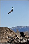 Jones_205_DSC7498.jpg