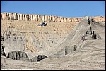 Adams_19_DSC8816.jpg