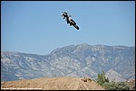 Foster_14_DSC8664.jpg