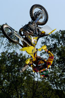 pastrana01.jpg